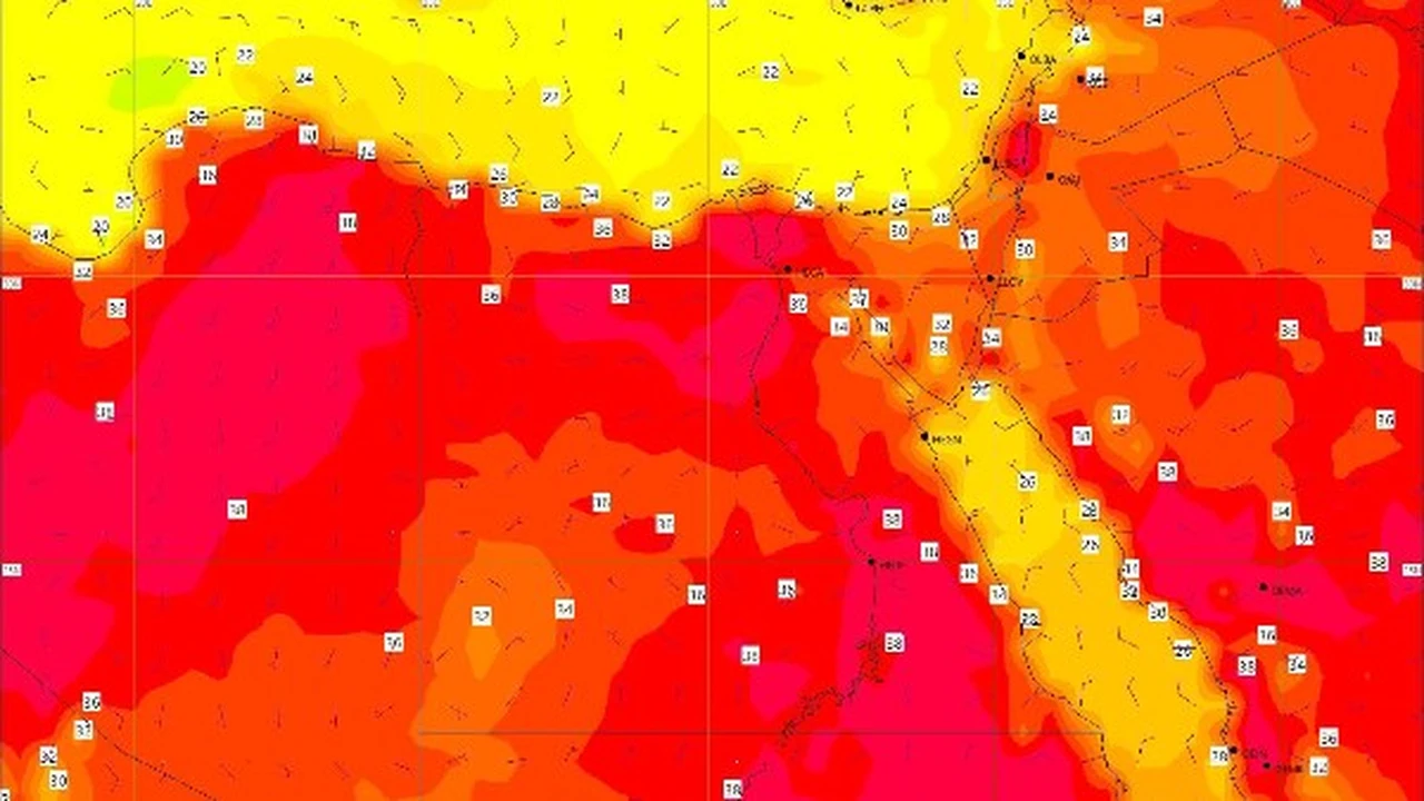 الأرصاد تحذر: ارتفاع الحرارة إلى 44 درجة غدًا مع ذروة الصيف
